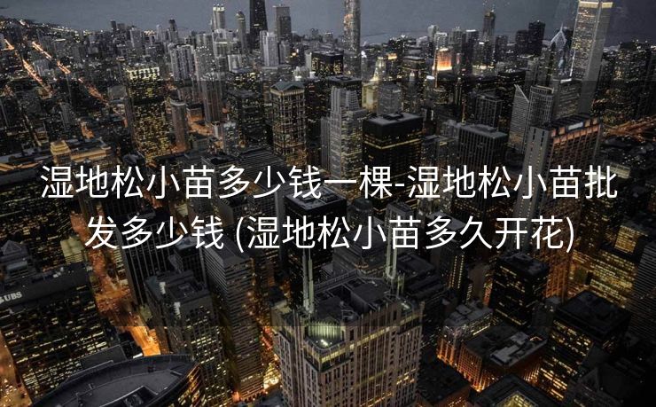 湿地松小苗多少钱一棵-湿地松小苗批发多少钱 (湿地松小苗多久开花)