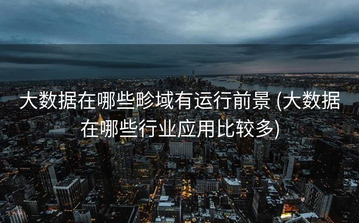 大数据在哪些畛域有运行前景 (大数据在哪些行业应用比较多)