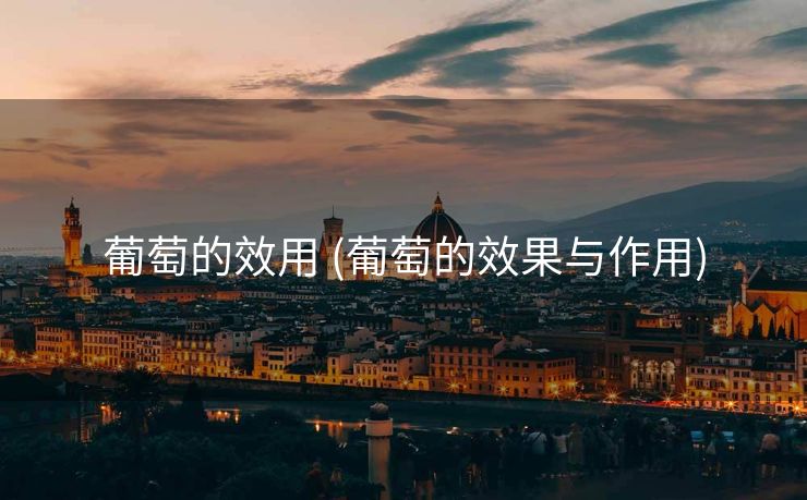 葡萄的效用 (葡萄的效果与作用)