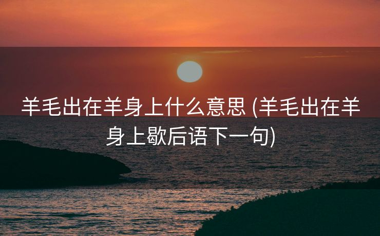 羊毛出在羊身上什么意思 (羊毛出在羊身上歇后语下一句)