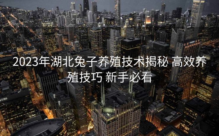 2023年湖北兔子养殖技术揭秘 高效养殖技巧 新手必看